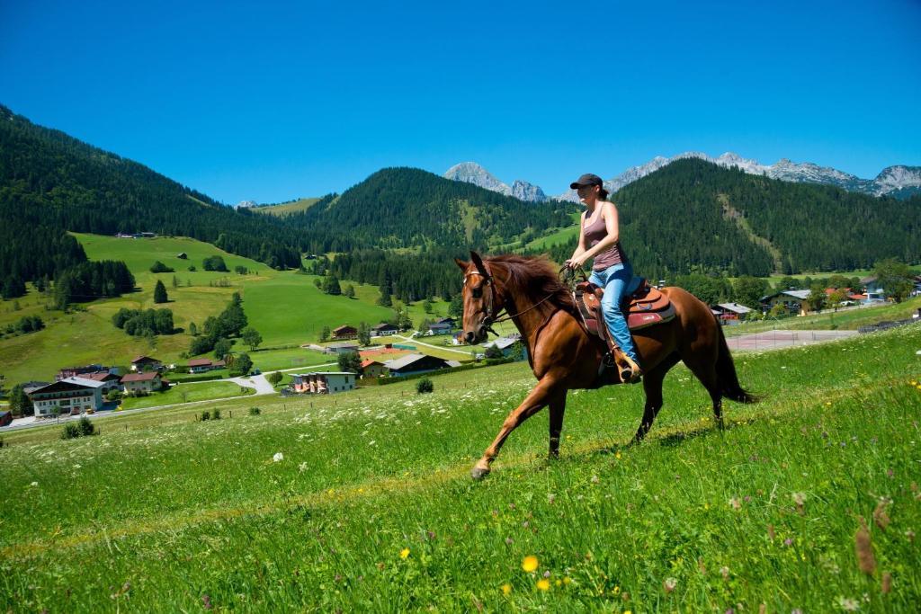 Wohlfuehlresort Und Feriengut Martinerhof 상트마틴암테넨게비르게 외부 사진